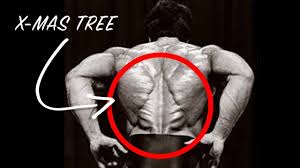 15 best back exercises for building muscle. The Incredible Christmas Tree Muscle What Is It And How Do You Get It Youtube
