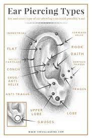 Ear Piercing Has Come A Long Way Since Your Grandmother S Day Here Are The Most Common Peircing Types Toda Ear Piercing Types Ear Piercings Ear Piercing Guide