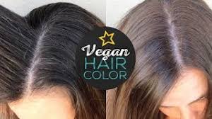 Verrijkt met actieve plantaardige ingrediënten die verbeterd en gecertificeerd zijn als natuurlijk en biologisch. Naturtint Hair Color Review Cruelty Free Youtube