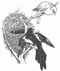 Bit.ly/35wyndm audiobook with subtitle all the birds. English Fairy Tales The Magpie S Nest