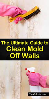 How To Clean Mold Off Walls Get Rid Of Mold Cleaning Mold Spring Cleaning Challenge