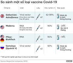 Nội dung công văn nêu rõ: Covid 19 Vaccine Tq Co Bao Nhieu Loáº¡i Hiá»‡u Quáº£ Va Gia Cáº£ Bbc News Tiáº¿ng Viá»‡t