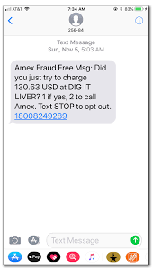 We did not find results for: Dodging Fake Fraud Alerts The New York Times