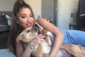 Ariana grande, social house — boyfriend 03:06. Justin Bieber Ariana Grande And Kehlani In This Week S Wonderlist