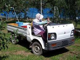 オープンカー オープンカー 軽自動車 カスタム ミニトラック