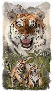 tigers by lorri kajenna tiger images animal art animals wild