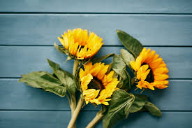 I applied to their customer service and sent pictures. Eflorist Home Facebook
