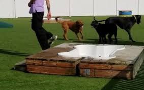 Hours may change under current circumstances Doggie Daycare Boarding The Pet Doctor