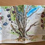 3 Night Introduction to Nature Journaling in Northumberland