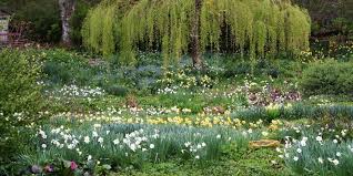 We found 2,314 vacation rentals — enter your dates for. Garden Presentation
