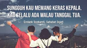 Album sahabat dalam tubuh mawi berkerjasama dengan dali selama enam bulan untuk disiapkan. 30 Inspirasi Kata Kata Untuk Sahabat Tersayang Kepogaul