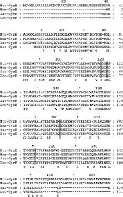 Department of justice tasked with combating drug trafficking and distribution within the u.s. Optimization Of Pyrrolamides As Mycobacterial Gyrb Atpase Inhibitors Structure Activity Relationship And In Vivo Efficacy In A Mouse Model Of Tuberculosis Abstract Europe Pmc