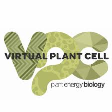 Maybe you would like to learn more about one of these? Virtual Plant Cell Virtual Plant Cell Into Aquaporins 360 Degree Video Facebook