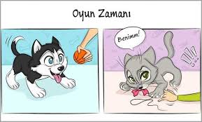 Kedilerle Kopeklerin Yasam Tarzlarina Dair 14 Komik Fark Kedi Kopek Cizgi Romanlar