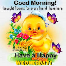 Browse through our cool collection of 'happy sunday' images with flowers and send it to your friends, family, boyfriend, girlfriend, lover etc., you can post these images on your facebook wall or share it personally through any social media page as per your interest. 50 Good Morning Happy Wednesday Images Morning Greetings Morning Quotes And Wishes Images