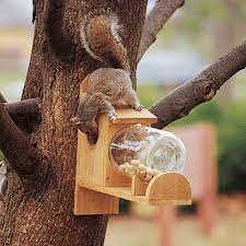 How To Make A Squirrel Feeder Squirrel Feeder Diy Squirrel Feeder Bird Feeders