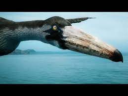 Discover the world of birds. How The Largest Flying Bird Of All Time Stayed Airborne Youtube