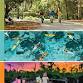 Florida Trail Towns Kickoff: Hike event image
