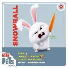 the secret life of pets funny pictures and quotes the secret life of pet secret life of pets life of pets