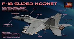 Which one would you fly in combat? F 22 Raptor Vs F 18 Super Hornet Comparison Bvr Dogfight
