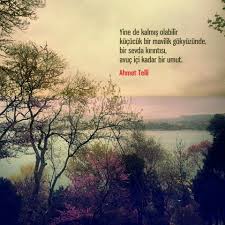 Muruvvet Yilmaz Adli Kullanicinin Dot Words Panosundaki Pin Sevimli Sozler Cute Love Quotes Derin Alintilar