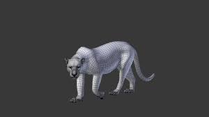 Share your videos with friends, family, and the world Aaron Brown Panthera Onca 3d Model