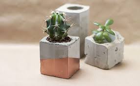 We didn't want the opportunity to go by without saying thank you for your support. Indoor Plant Pot Ideas Unique Trendy