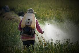 ✅ crossword puzzle solution ⇒ banned fruit spray on crosswordsolver.com ✅ all crossword puzzle answers for banned fruit spray clear & sortable. Export Of Banned Us Pesticides Creates A Deadly Circle Of Poison