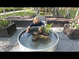 Each galvanized stock tank in our catalog is. Making A Stock Tank Pond I Have No Idea What I M Doing The Impatient Gardener Youtube