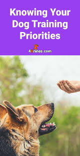 Knowing Your Dog Training Priorities Dog Training Dog Training Obedience Dog Obedience