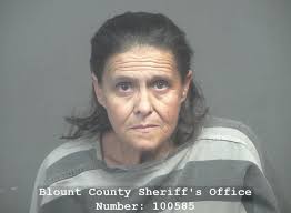 HARMON, MARY KAY Charges: THEFT (ALL OTHER) Driving