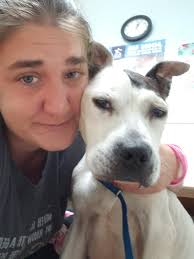 💔💔💔 RIP BABY LAYLA 💔💔💔💔💔💔 One of the three sick little babies from  yesterday, she just couldn't fight any longer 💔💔😢😢 Once again we are  broken hearted, no one held accountable, another