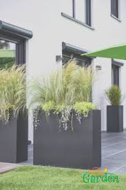 Pflanzkubel Als Sichtschutz Auf Terrasse Planters Balcony Planters Garden Design
