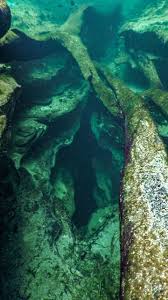 Coco key features body slides, tube slides, an adventure river and an indoor/outdoor spa. Underwater Caves In Florida Springs Blue Springs State Park Florida Springs Florida Travel