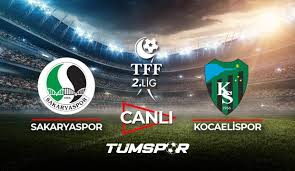 Ideal sample to show the graphic bases that support a well done logo.it. Uejpq8zhtnhadm