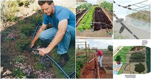 What parts do you need for a complete irrigation system installation. 16 Cheap And Easy Diy Irrigation Systems For A Self Watering Garden Diy Crafts
