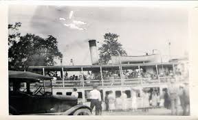 Image result for Lintonia