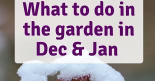 Do simple tasks in the fall. Pin On Green House