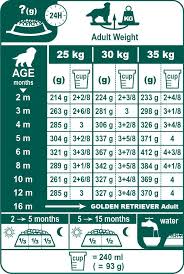 Golden Retriever Puppy Feeding Chart Goldenacresdogs Com