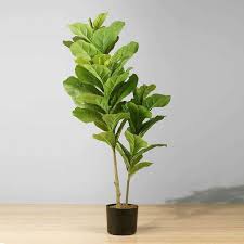 Maybe you would like to learn more about one of these? Shop Faux Plant Artificial Flower Silk Plant Rug Artiplanto Artiplanto