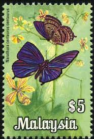 Some of the sets and stamps cost me a fortune to acquire. This Is My Collection Of Malayan Stamps It Will Take A While To Upload A Month Or Two All Of The Stamps There Postage Stamps Butterfly Stamp Postal Stamps