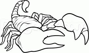 Search through 623,989 free printable colorings at getcolorings. Coloring Pages Scorpion 8 Animals Arachnids Free Printable Coloring Library