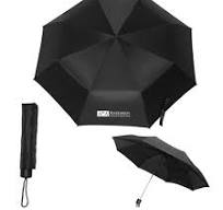 Custom Budget Folding Umbrella 42 Inch