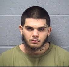 Will County Jail Roundup For Nov. 29