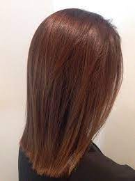 40 Unique Ways To Make Your Chestnut Brown Hair Pop Chestnut Hair Color Chestnut Hair Hair Color Brown Chestnut