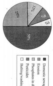 Sewage, oil spills, chemical runoff from industry and plastics and other waste from human lives are major pollutants in the sea. Study The Pie Chart Given Here And Write A Brief Paragraph On Water Pollution In About 100 Words Brainly In