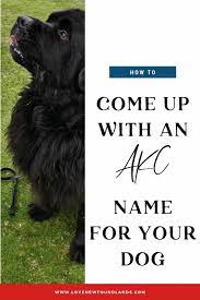 How To Come Up With An Akc Registered Name For Your Dog Love Newfoundlands Dog Names Dog Breeders Kennels Dogs