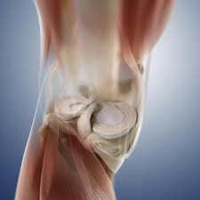 Pin On Meniscus Tears