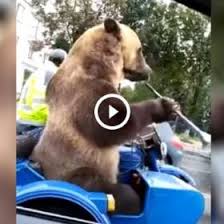 Najnowsze informacje z kraju i ze świata, najważniejsze wiadomości gospodarcze, sportowe i naukowe. Niedzwiedz Maxxx News Rmf Maxxx