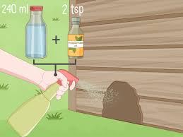 Als ich morgens schaute, saß die maus drin und das stück käse und wurst, welchen ich als köder reingelegt habe, war noch drin. Eine Maus Aus Dem Haus Vertreiben Wikihow